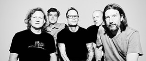 Gin Blossoms